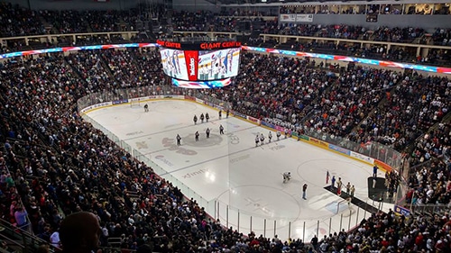 Hershey Bears Ice Hockey